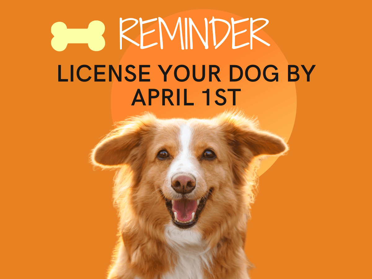 Dog Licenses Due  April 1
