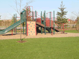 Myers Park Playground Equipment at the Park