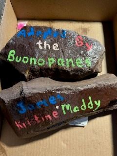 Sample rocks for Adopt-a-Tree program
